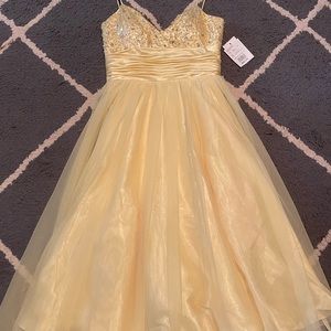 This dress is brand new and never been worn. It’s from David’s bridal.